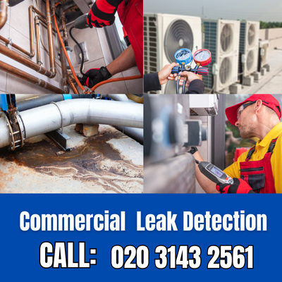 Commercial Leak Detection Services in Hamsey Green | Hamsey Green Leak Detection