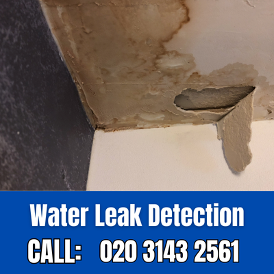 Expert Water Leak Detection Services in Hamsey Green | Hamsey Green Leak Detection